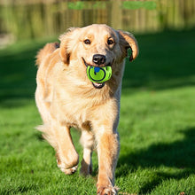 Load image into Gallery viewer, Petnova™ - Dog Giggle Ball
